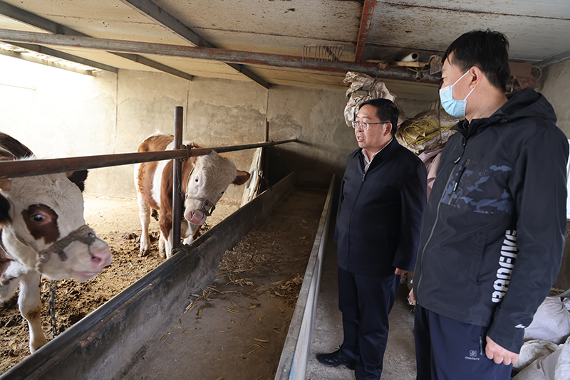 4.寧夏建投黨委書記董事長華光榮深入村民家中調研慰問.JPG